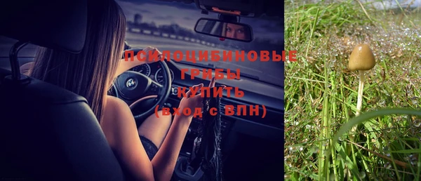 спиды Алексеевка
